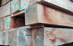 Titelbild zu Angebot 2074