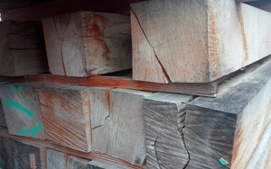 Titelbild zu Angebot 2075