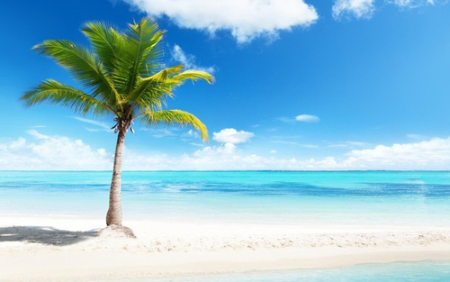 Titelbild zu Angebot 1651