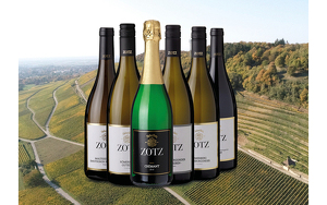 Titelbild zu Angebot 1207