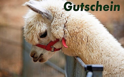 Titelbild zu Angebot 2141