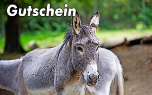 Titelbild zu Angebot 2142