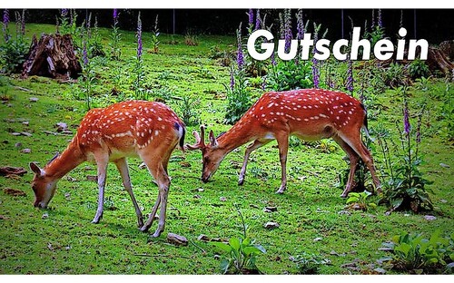 Titelbild zu Angebot 2146