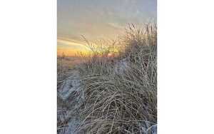 Titelbild zu Angebot 2533