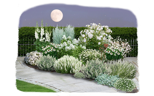 Titelbild zu Angebot 2682