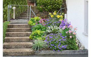 Titelbild zu Angebot 2686