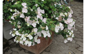 Titelbild zu Angebot 2692