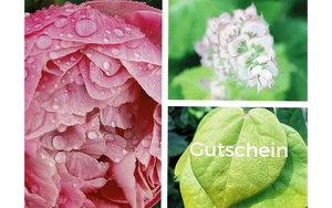 Titelbild zu Angebot 2733