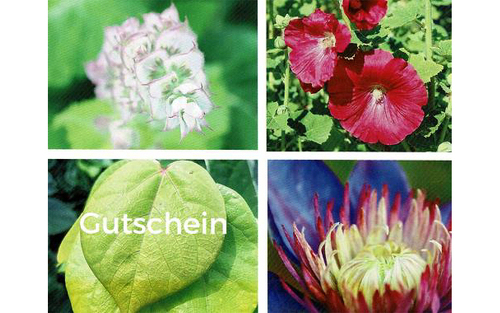 Titelbild zu Angebot 2735