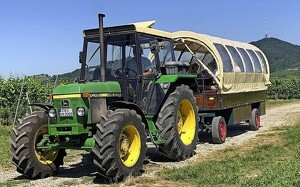 Titelbild zu Angebot 3261